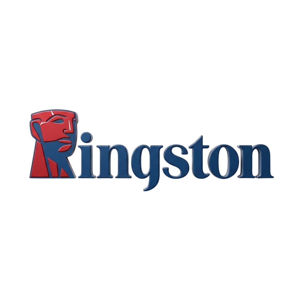 Kingston SSD & Storage