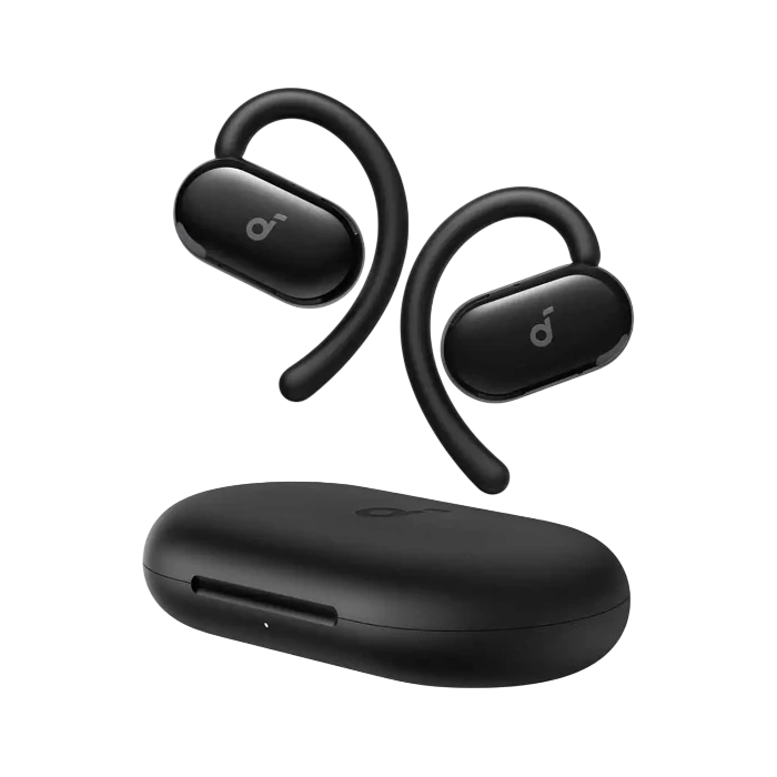 Anker Soundcore V20i True Wireless Earbuds – Black